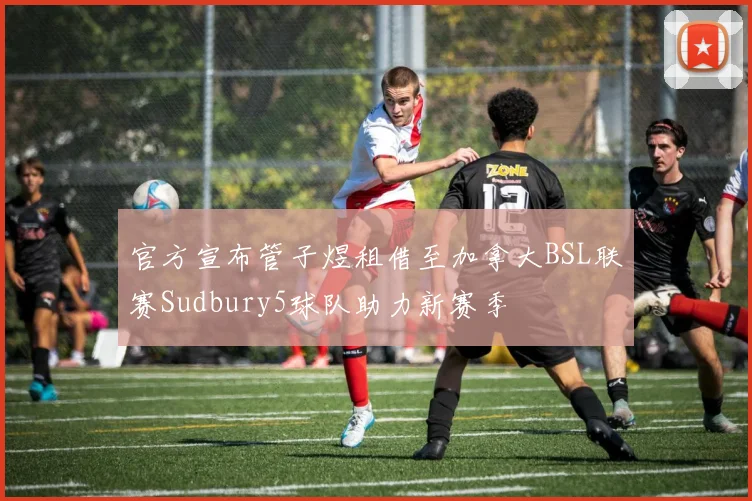 官方宣布管子煜租借至加拿大BSL联赛Sudbury5球队助力新赛季