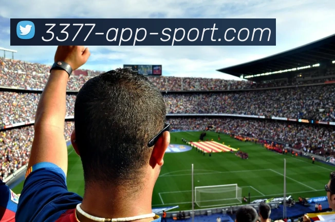 3377体育平台生态图