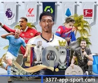 3377体育 APP - 3377Sports